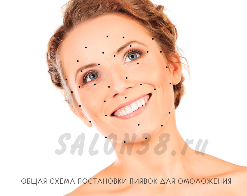 ОБЩАЯ СХЕМА ПОСТАНОВК� П� ЯВОК ДЛЯ ОМОЛОЖЕН� Я Л� ЦА в Петербурге
